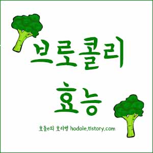 브로효능이미지