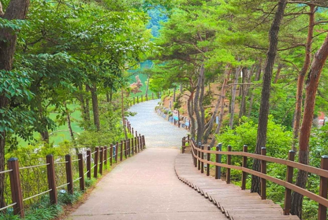 청양 가볼만한곳 베스트10