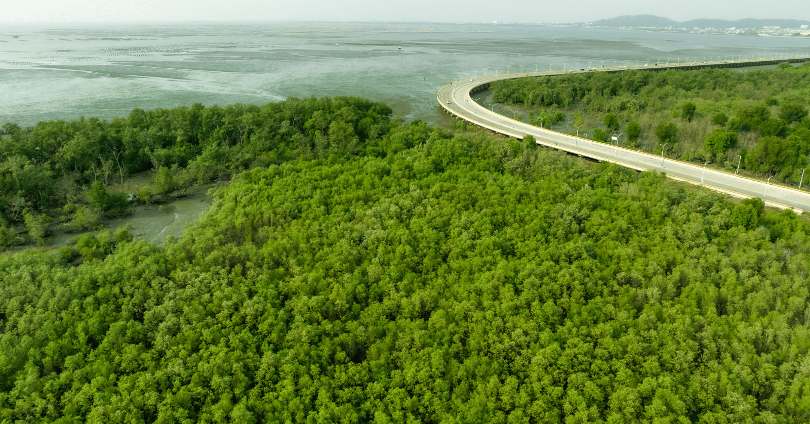 후불 기후동행카드