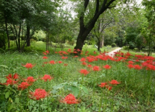 홍릉수목원