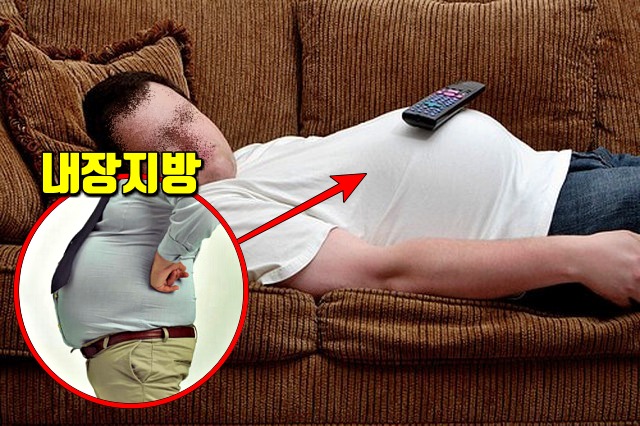 뱃살 내장지방 확인,팁줌