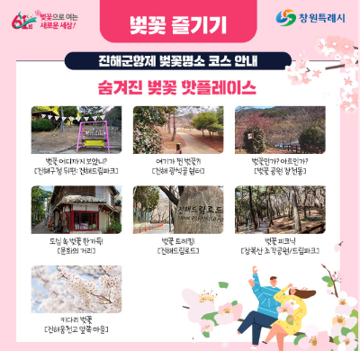 진해 군항제 벚꽃 개화