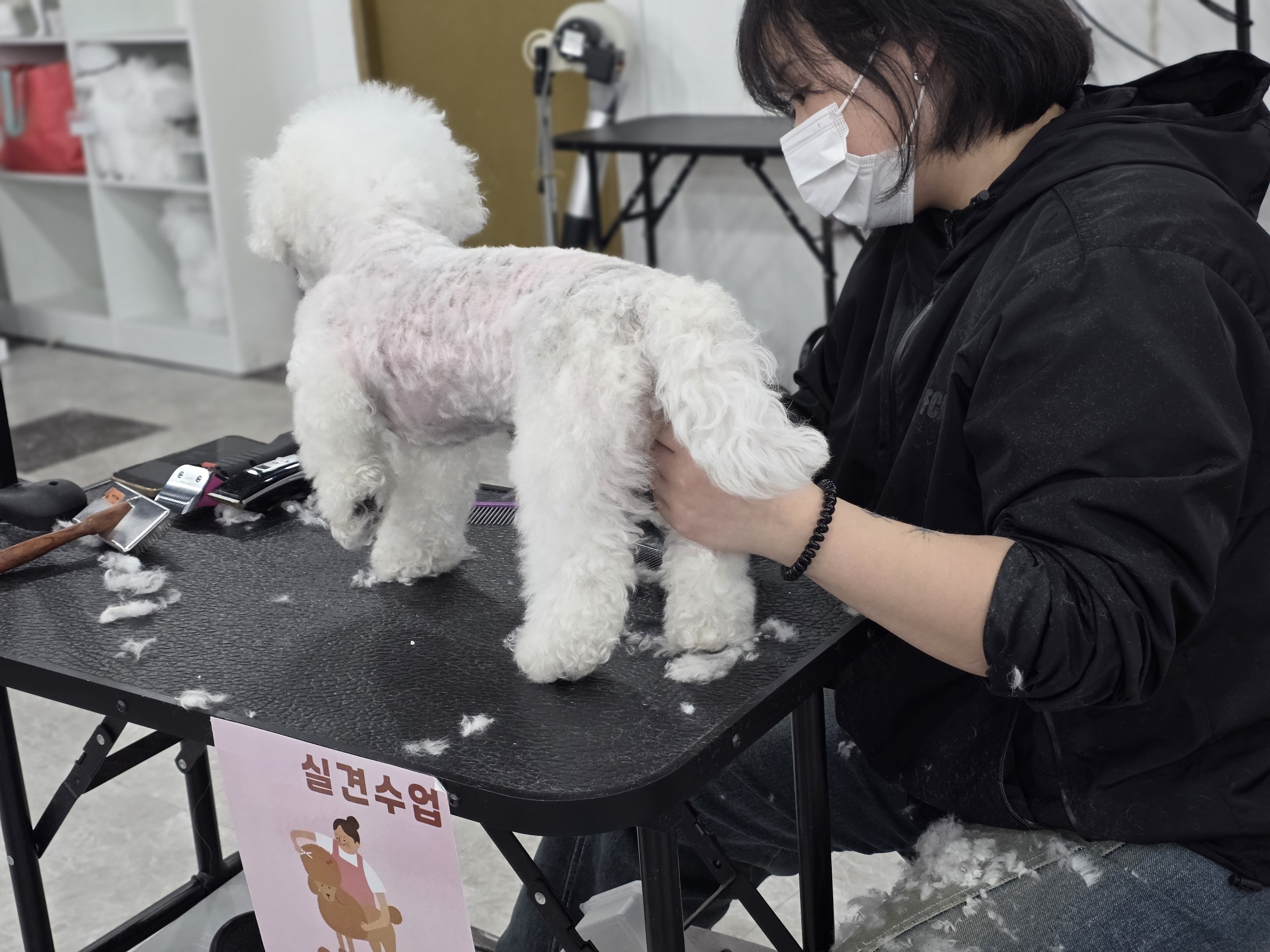 시흥애견미용비용