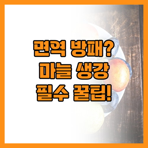 환절기 면역 방패 브로콜리 마늘 생강..