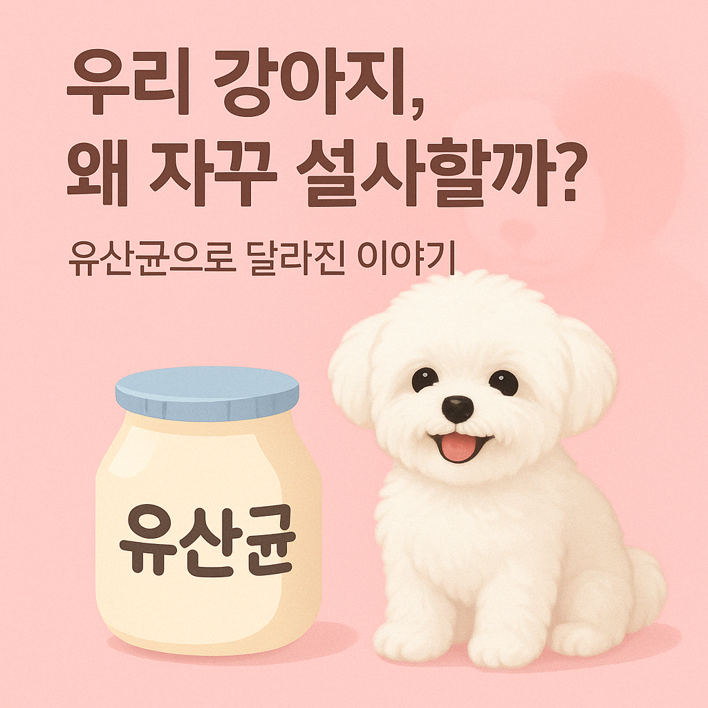 강아지 유산균