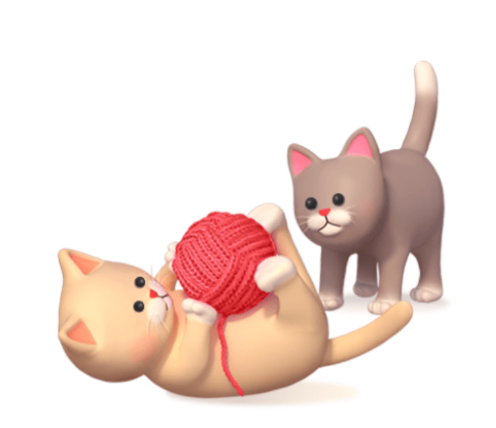 현대해상 고양이 보험