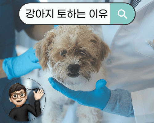 수의사와 함께 있는 강아지