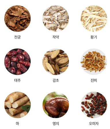 천궁 작양 황기 대추 감초 진피 마 영지 오미자
