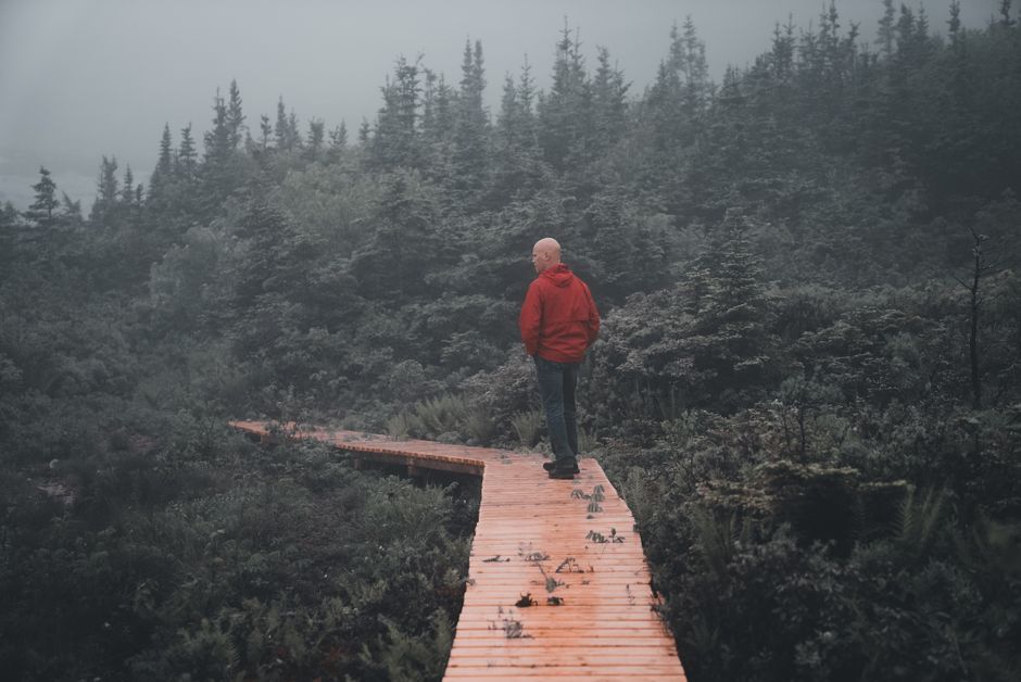 A lone hiker in a red jacket walks along a foggy forest path, embracing nature.