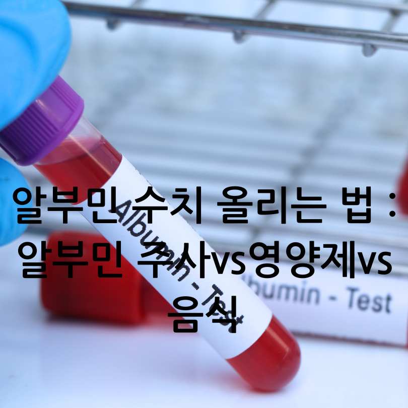 알부민 수치 올리는 법