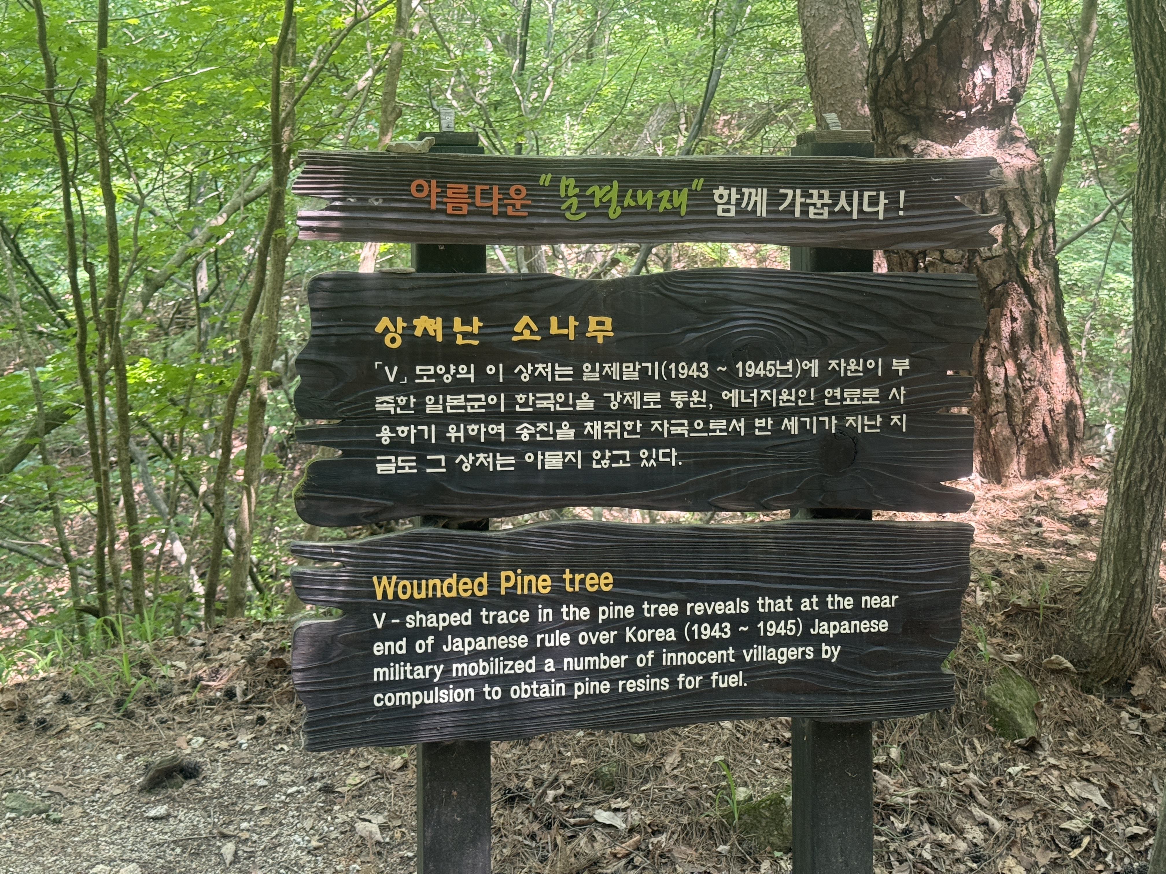 친구들과 떠난 문경새재 소풍기록 &ndash; 오미자 음료와 인절미, 그리고 궁예!