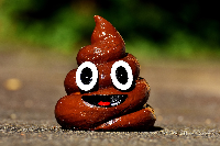 새해 꿈해몽 길몽 흉몽 오해와 진실 -7