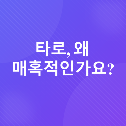 타로카드 배우기_1