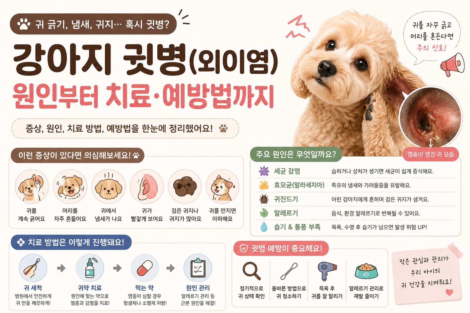 강아지 외이염