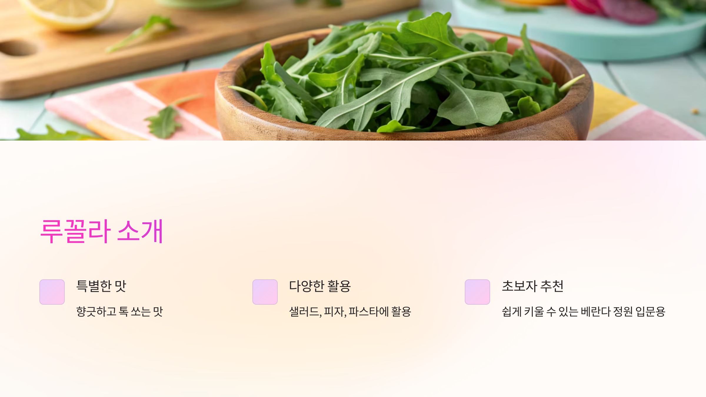 루꼴라 소개