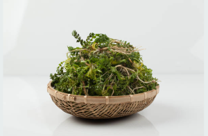 봄나물 관련 사진