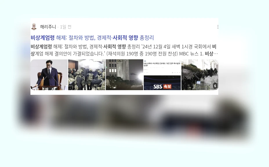 비상계엄령의 사회적 영향_3_subsection