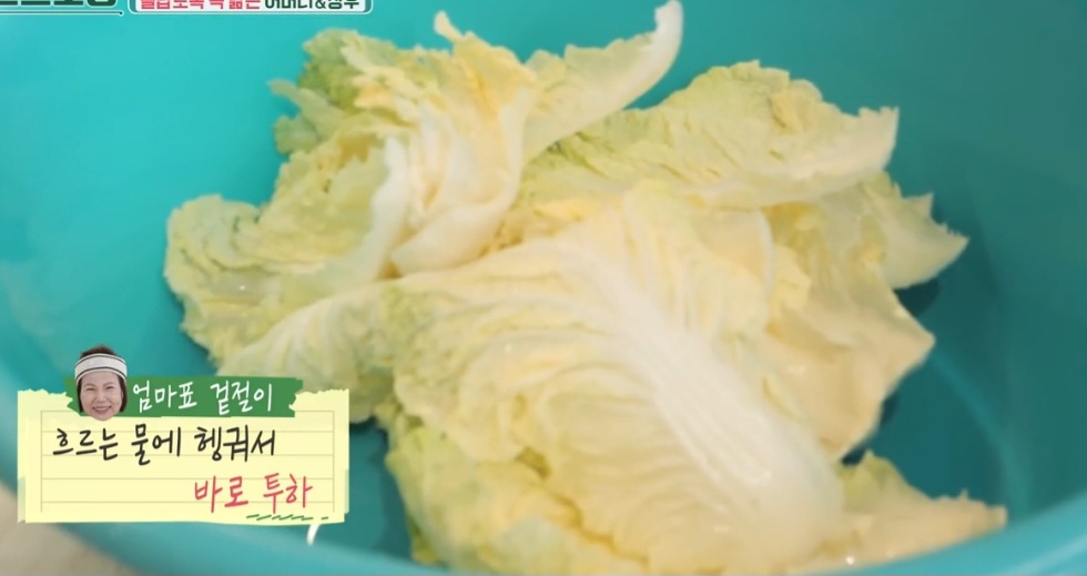이상우배추겉절이만들기
