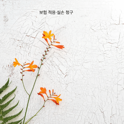 갱년기 협심증&middot;미세혈관 협심증 (2025)｜여성형 흉통의 검사&middot;치료&middot;비용&middot;보험 가이드