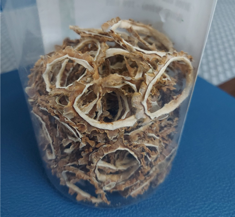 여주 먹을 때 알아야 할 점