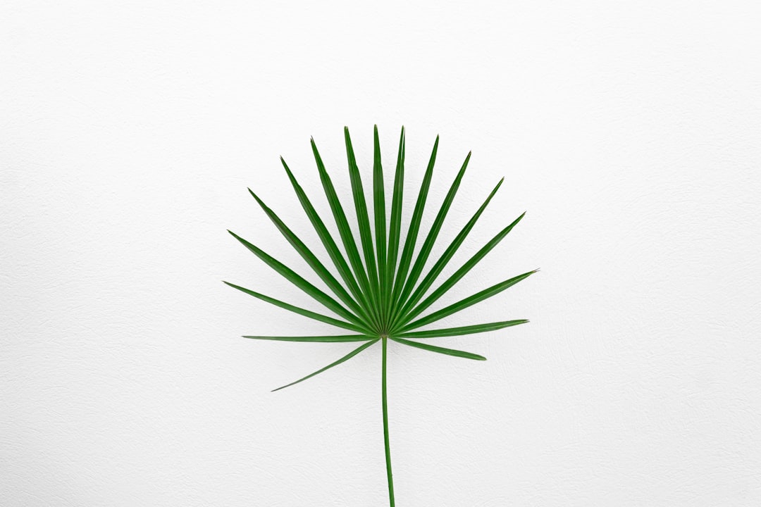 Leaf