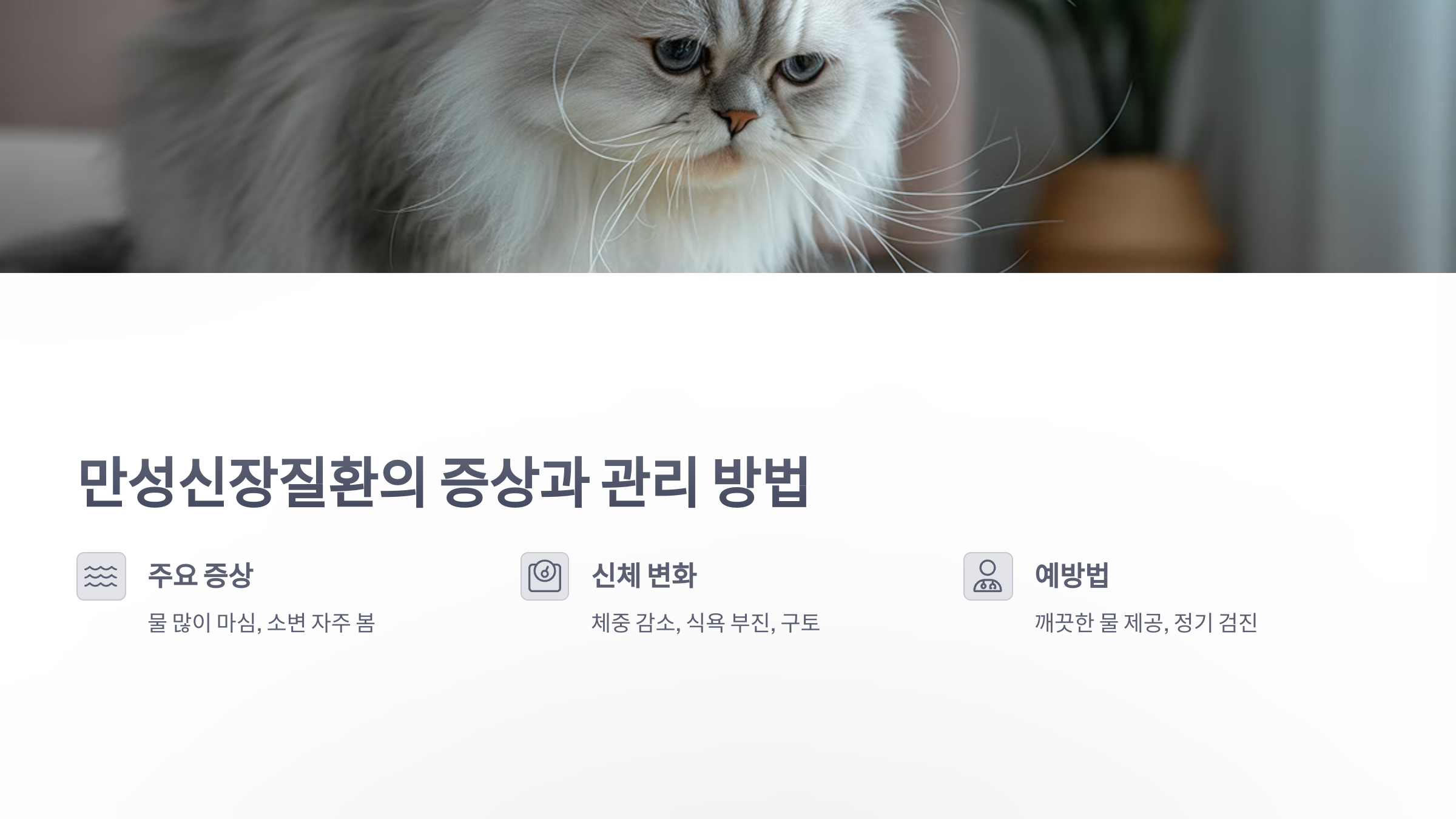 참조-고양이-4대-질환-2