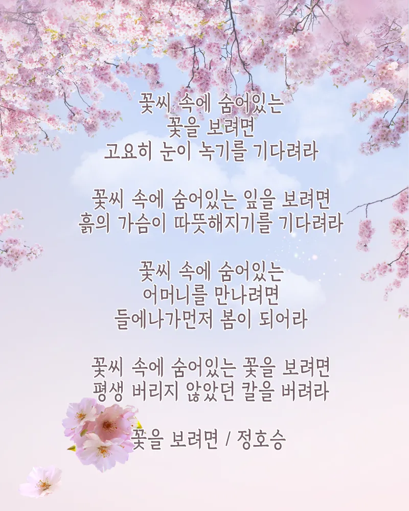 봄 시 모음 이해인 나태주 명시 모음_1