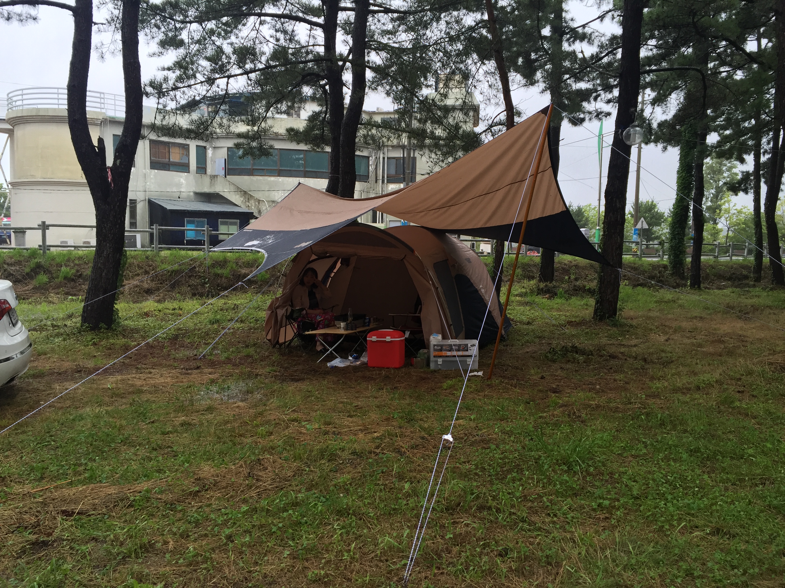 헥사타프 구매 전 체크리스트