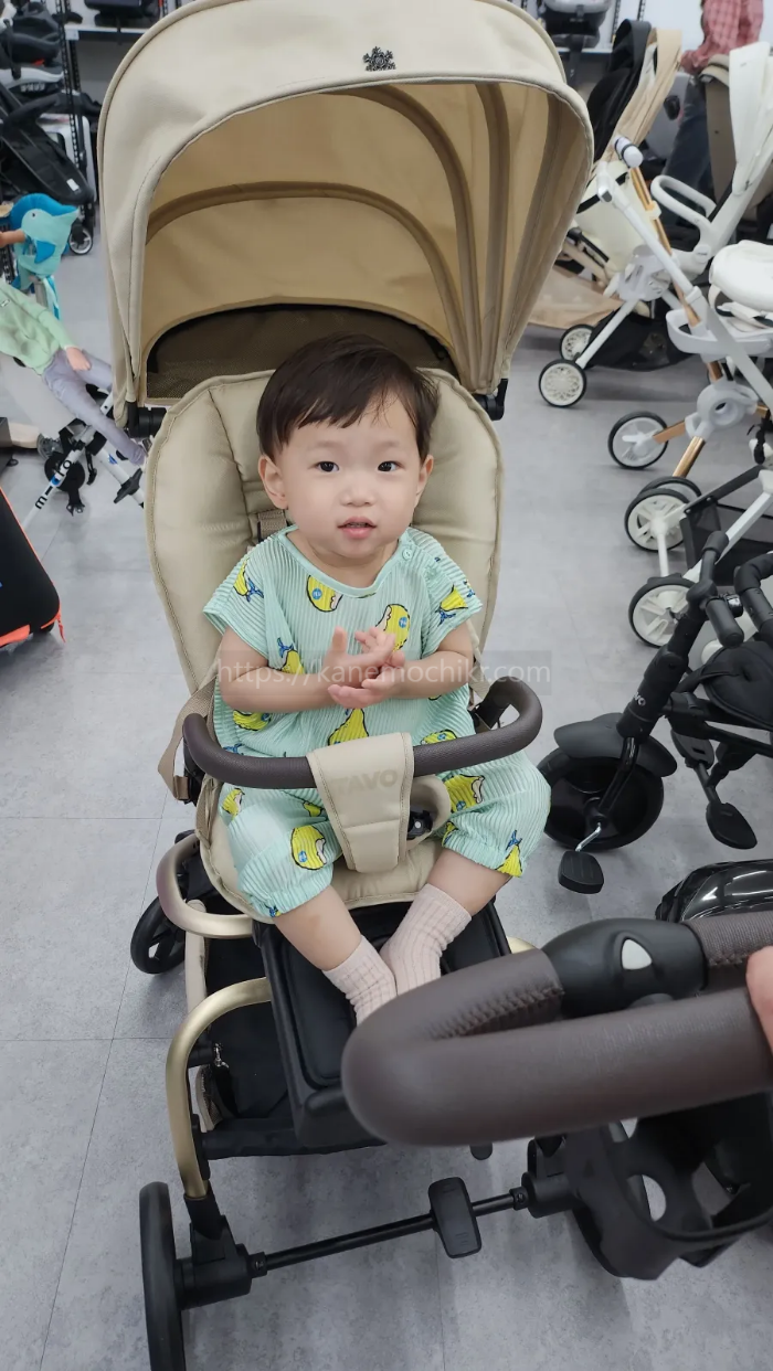 타보트래블러S3트라이크에탄아기