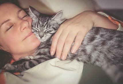 잠자는 여자와 고양이.