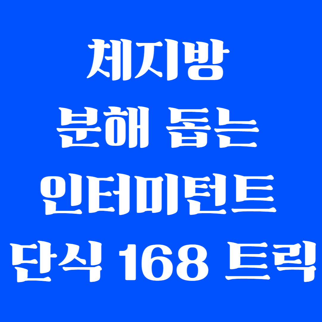 체지방 분해 돕는 인터미턴트 단식 168 트릭