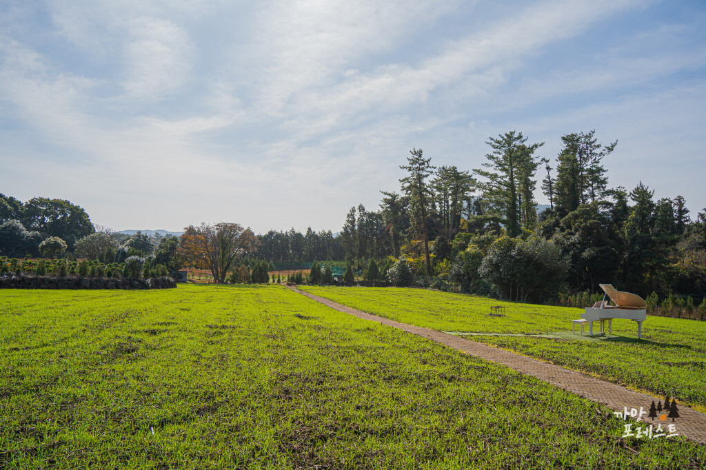 비케이브 그랜드피아노