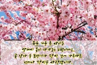2월 인사말 예시 모음 이모티콘_14