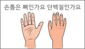 손톱은 뼈인가요 단백질인가요