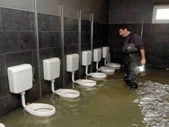하수도가 차올라서 좌변기 높이까지 올라온 상태를 지켜보는 배관공