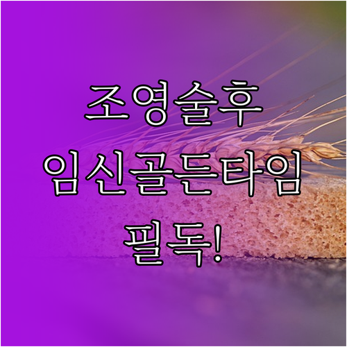 나팔관 조영술 후 임신 시도 시기 및..