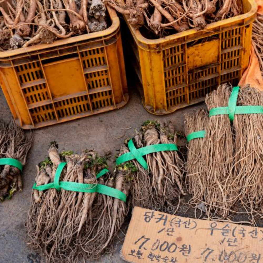 시장에서 판매중인 생당귀