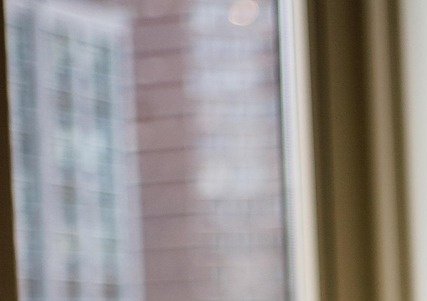 모의고사 성적표 조회