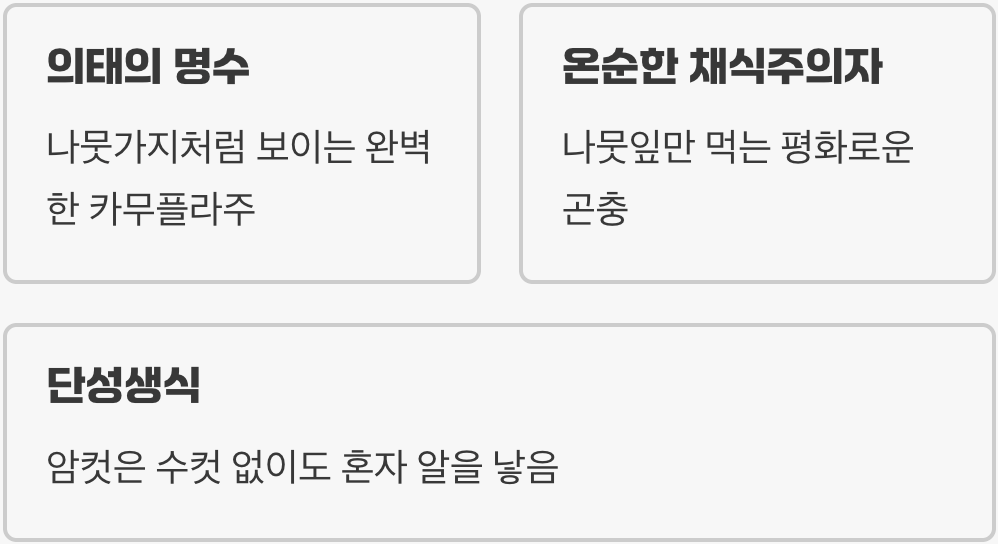 '움직이는 나뭇가지', 대벌레는 어떤 곤충?