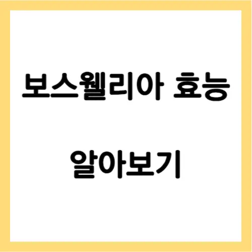 보스웰리아 효능