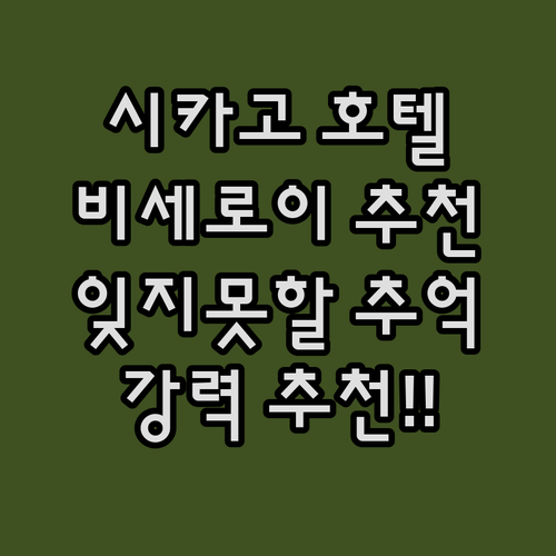 시카고 호텔 추천 비세로이 시카고에서..