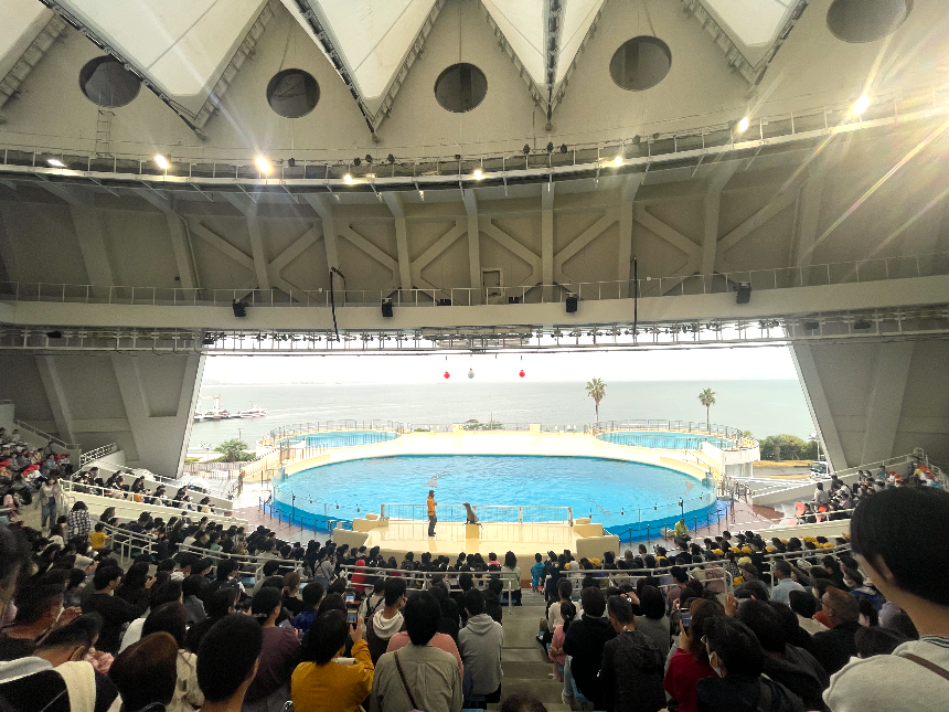 마린월드 우미노나카미치 돌고래,물개쇼