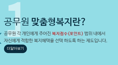 복지 포인트로 이용 가능한 자율 선택 항목들을 설명하는 안내 문구
