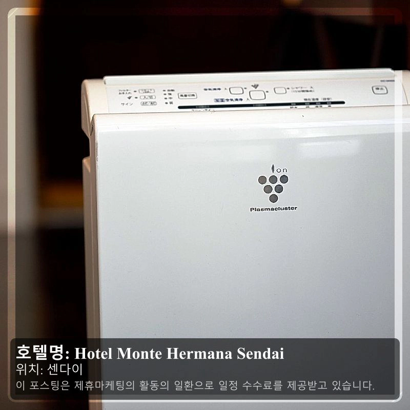 Hotel Monte Hermana Sendai_1