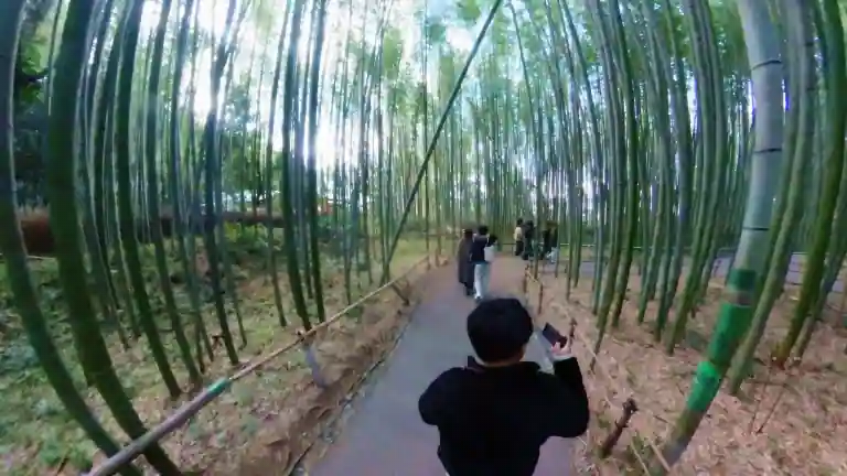 아라시야마 치쿠린