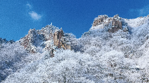 대둔산 겨울 눈꽃 이미지