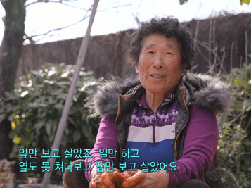 [6시 내고향] 여수 당조고추 택배주문 돌산 당조고추 당고추 판매(+효능)
