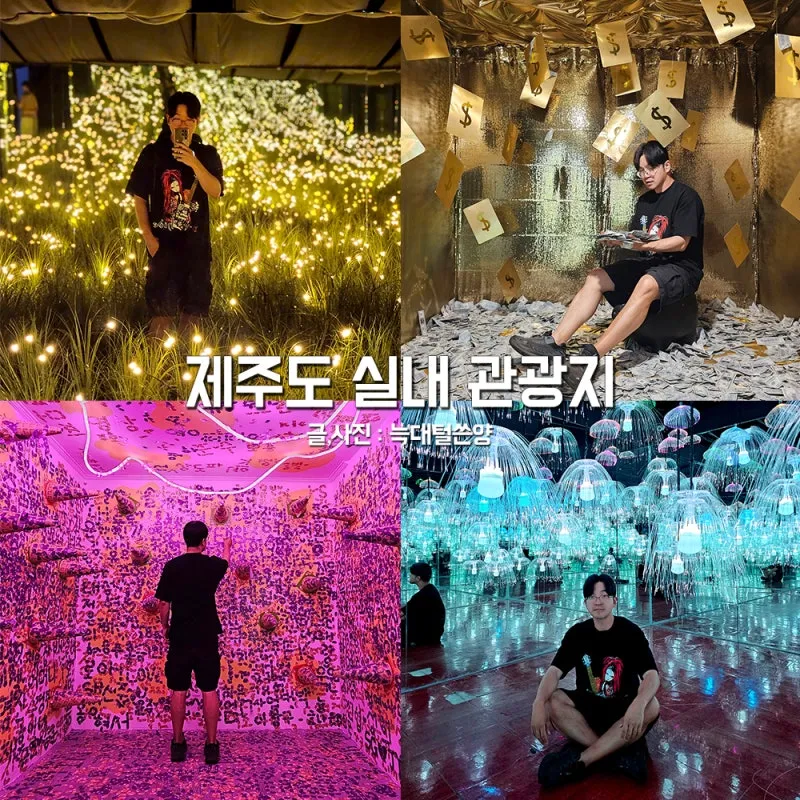 제주도 비올때 가볼만한곳 10곳 추천 실내 관광지로 모음_3