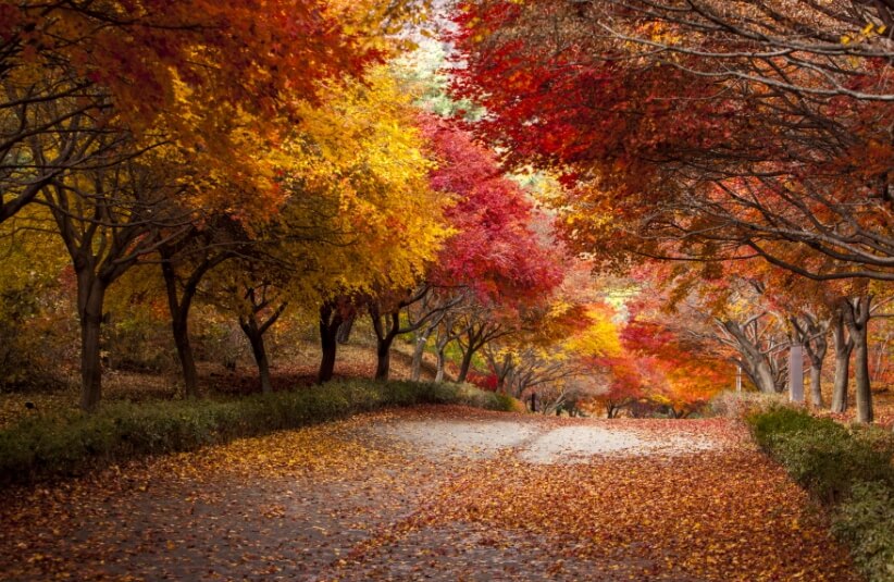 천안 가볼만한곳 베스트 10