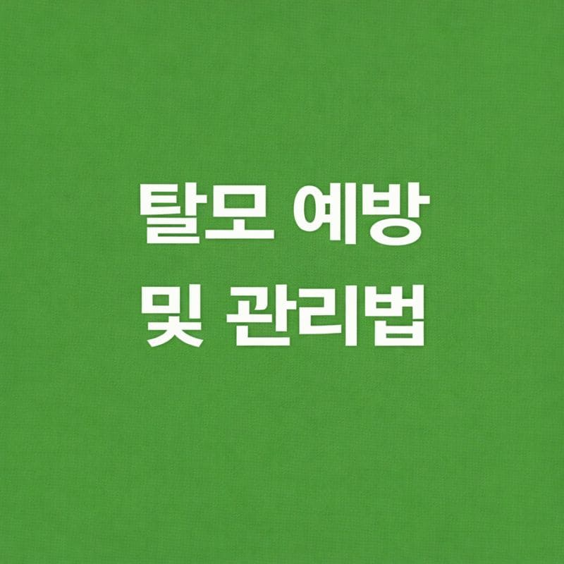 탈모 예방 및 관리법